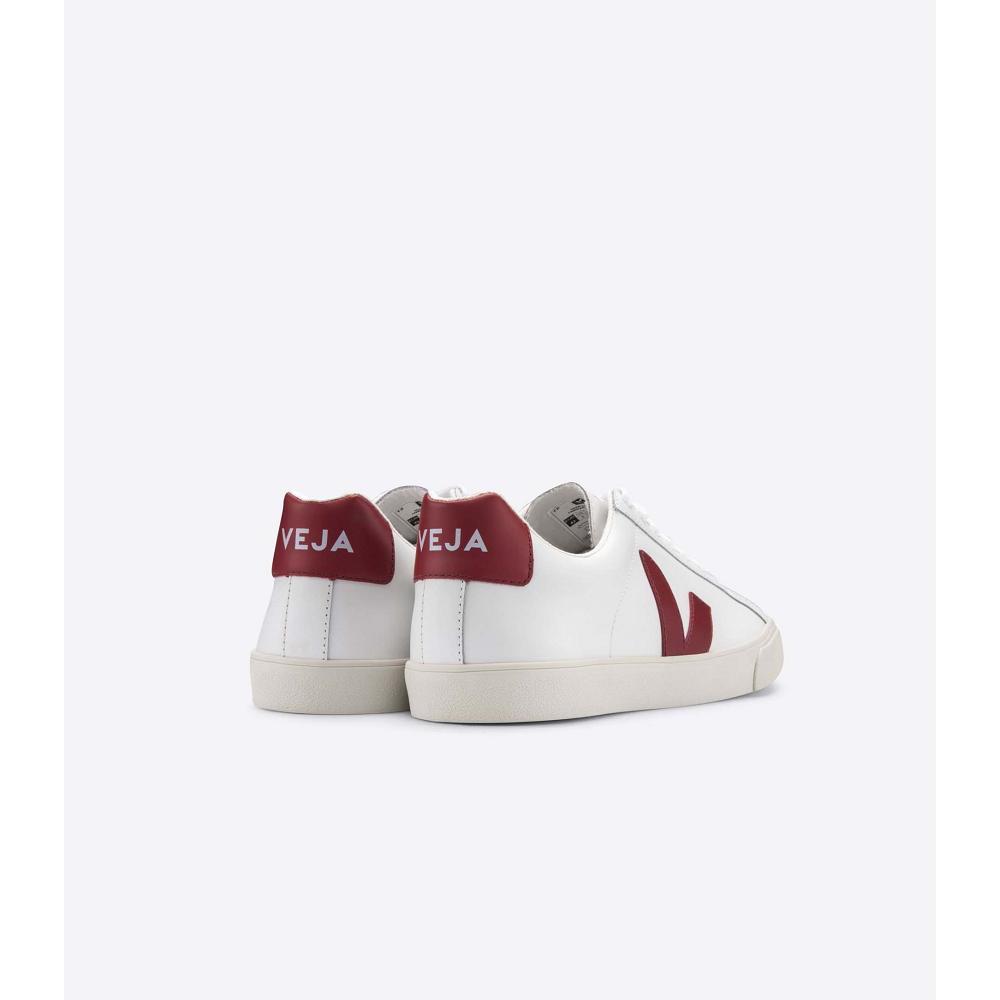 White/Red Men's Veja ESPLAR LEATHER Sneakers | AU 304XYU